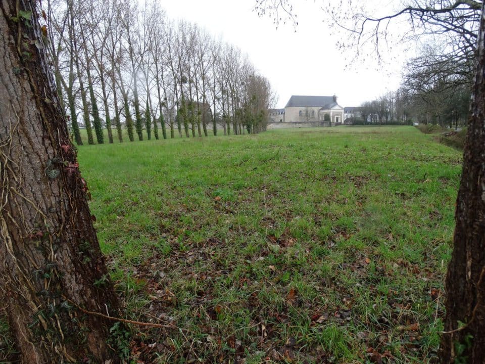 Photo représentant la Chartreuse de Brec'h depuis la zone humide