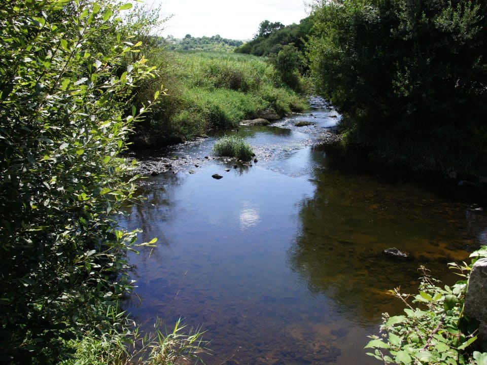 Cours d'eau Champ des Martyrs