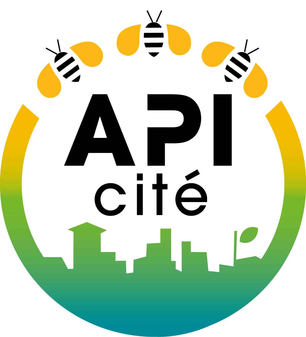 Logo Api'Cité - 3 abeilles