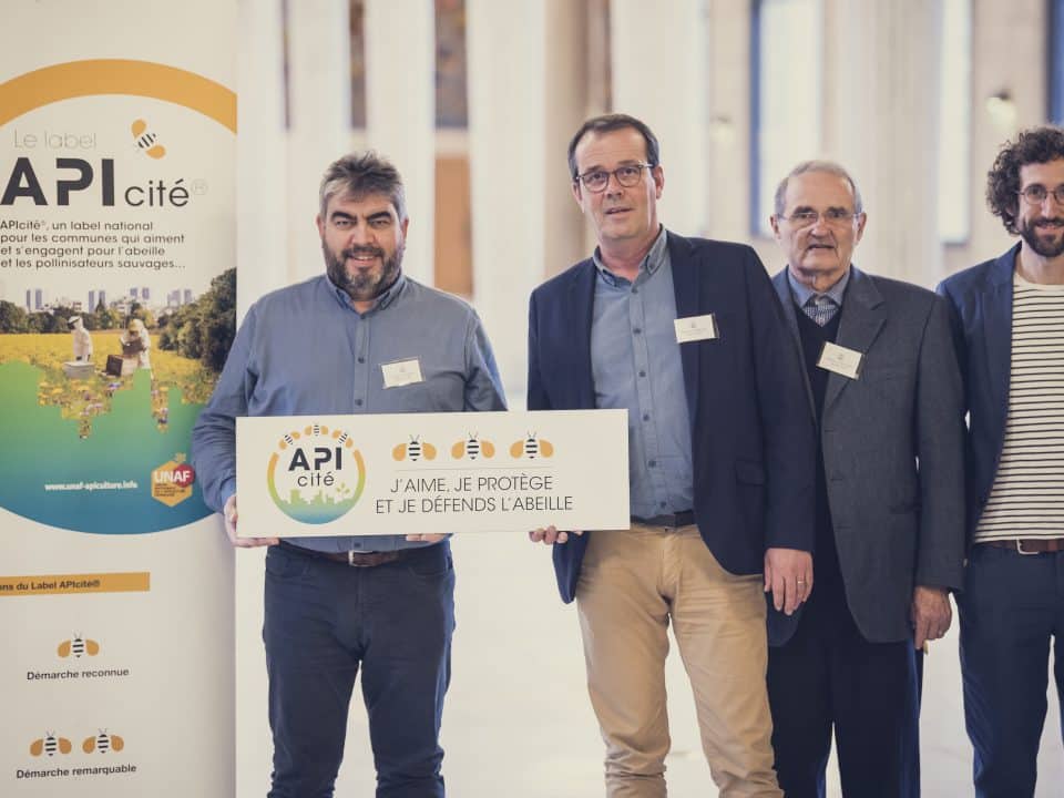 Photo représentant la remise du label Api'Cité 3 abeilles à la Ville de Brec'h, organisée au CESE (Conseil Economique Social et Environnemental) à Paris en présence de Fabrice Robelet, maire de Brec'h, Erwan Le Dizez, adjoint à l'environnement, Michel Le Boudec, membre de l'association brechoise pour la sauvegarde des abeilles, et David Hernandez, agent en charge du patrimoine et de l'environnement.