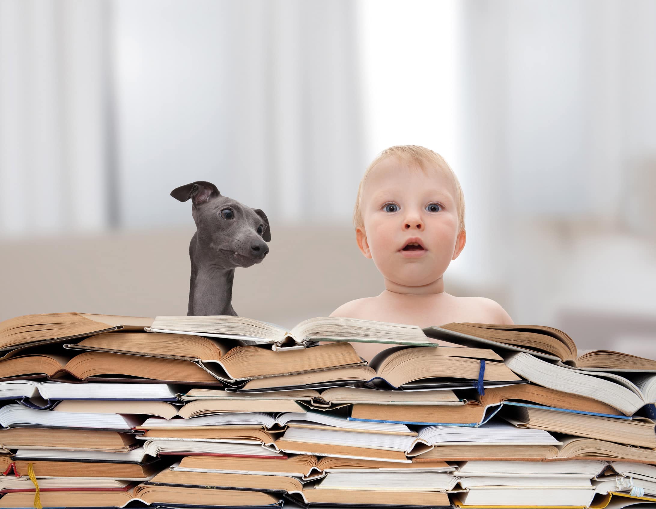 Photo représentant un bébé et un chien, tous les deux situés derrière une pile de livres.